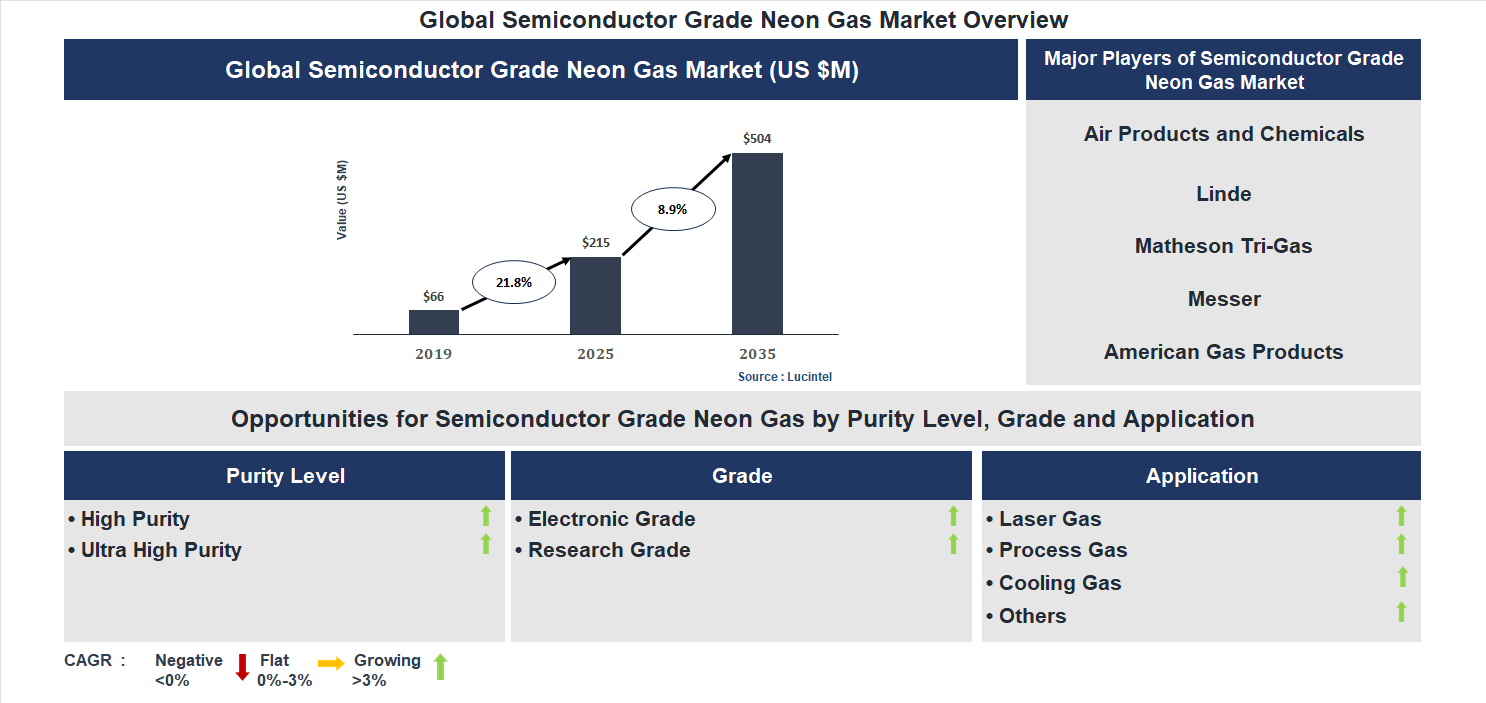 Semiconductor Grade Neon Gas Market Trends and Forecast